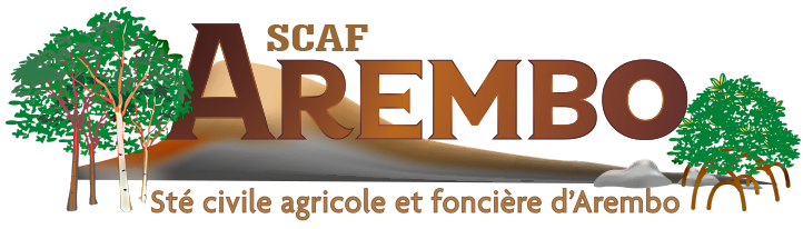 SCAF Arembo